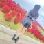 めろちゃのプロフィール画像