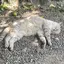 あやのプロフィール画像
