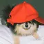 🐰のプロフィール画像