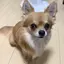 さわてぃーのプロフィール画像