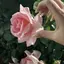 yのプロフィール画像