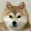 もこのプロフィール画像