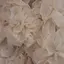 nのプロフィール画像