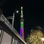 コーギーのプロフィール画像