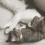 yuのプロフィール画像