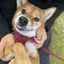 もえもえのプロフィール画像