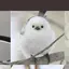 るうのプロフィール画像