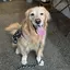 Annaのプロフィール画像
