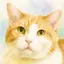 猫に小腹のプロフィール画像
