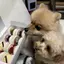 祐希のプロフィール画像