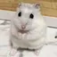 AKRのプロフィール画像