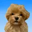 カナのプロフィール画像