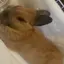 ひかりのプロフィール画像