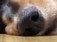 すみ汰のプロフィール画像