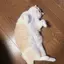 まきのプロフィール画像