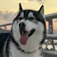 豚ちゃんのプロフィール画像