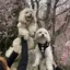 fuminaのプロフィール画像