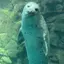 しほのプロフィール画像