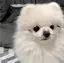 ひのプロフィール画像