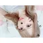 キ ョ ウのプロフィール画像