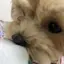 ぽとのプロフィール画像