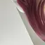 🦋のプロフィール画像