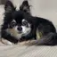 さくらのプロフィール画像