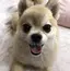 由惟のプロフィール画像