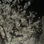 Aのプロフィール画像