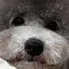 kのプロフィール画像