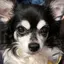 真衣のプロフィール画像
