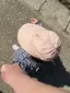 おチビのプロフィール画像