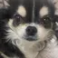 ちろくんのプロフィール画像