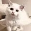 mのプロフィール画像