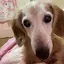 あすかのプロフィール画像