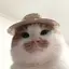 マのプロフィール画像