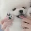 saのプロフィール画像