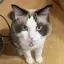 ゅみのプロフィール画像