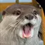 カオチのプロフィール画像