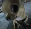 ぶちのプロフィール画像