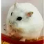 仁衣奈のプロフィール画像