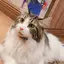 京愛のプロフィール画像