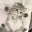ひかるのプロフィール画像