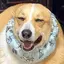 りりのプロフィール画像