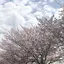 えのプロフィール画像