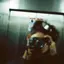 mのプロフィール画像