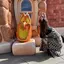 aのプロフィール画像