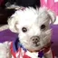 JKSのプロフィール画像