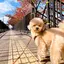 はるかのプロフィール画像
