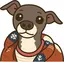 satomiのプロフィール画像